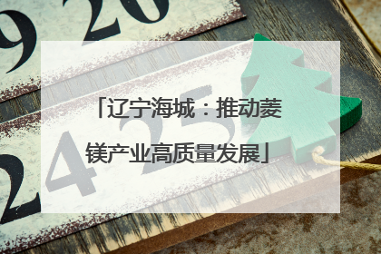 辽宁海城：推动菱镁产业高质量发展